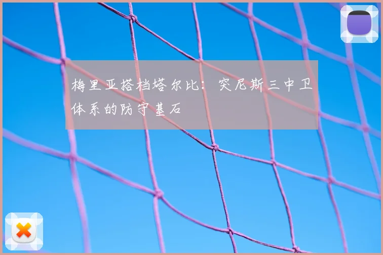 梅里亚搭档塔尔比：突尼斯三中卫体系的防守基石