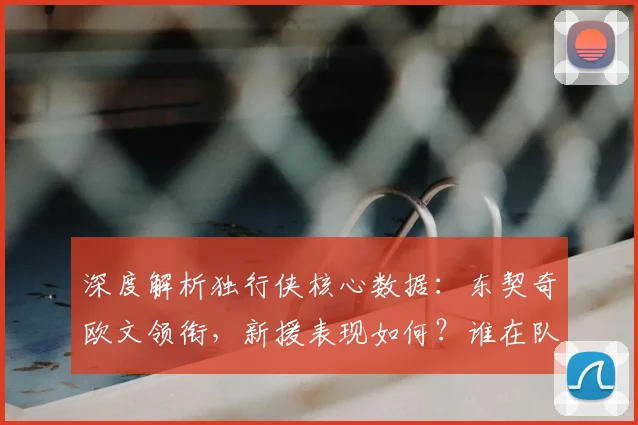 深度解析独行侠核心数据:东契奇欧文领衔,新援表现如何?谁在队内关键统计称王?