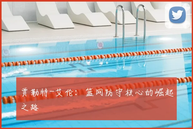 贾勒特-艾伦：篮网防守核心的崛起之路